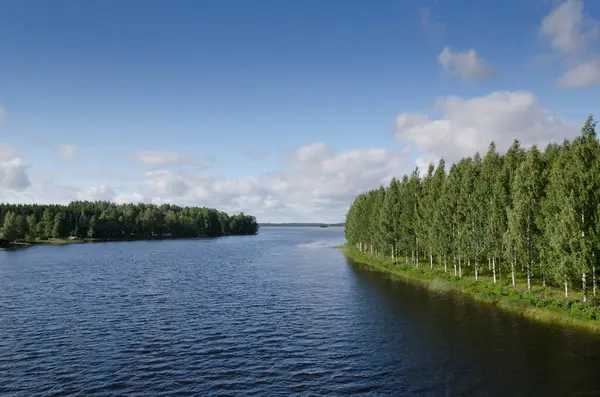 Meer Vaskilampi Finland Blauwe Lucht Witte Wolken Naaldbos Landschap Zomer — Stockfoto