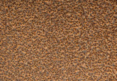 Kızıl paslı demir zemin arka plan Ev adası, Fransa