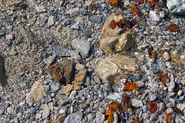 Water Stream Brown Fallen Leaves Gavarnie Circus France Autumn — Stock Photo, Image