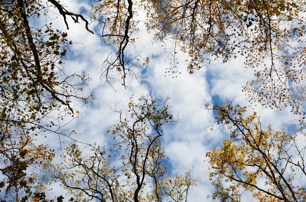 Herfst hemel — Stockfoto