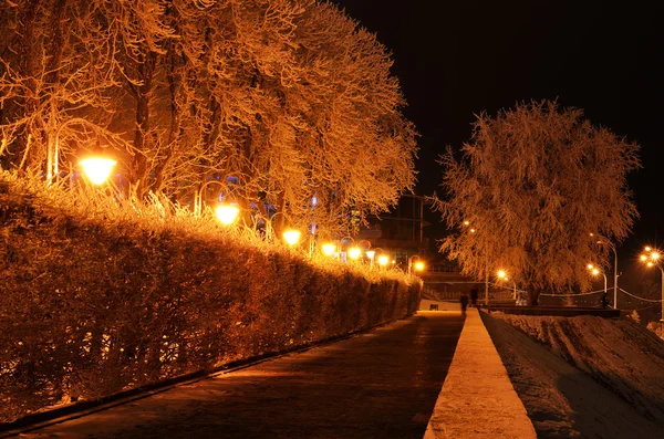 Noite parque rasgado — Fotografia de Stock