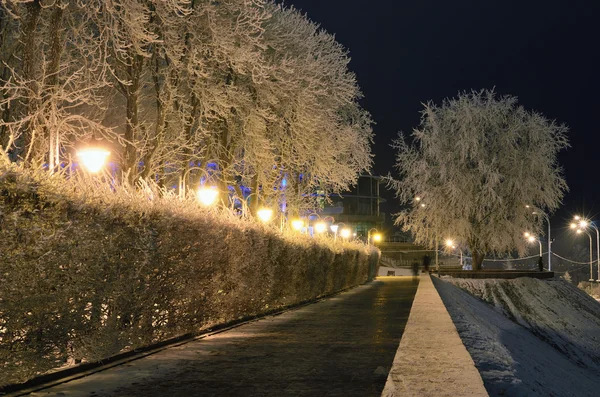 밤 rimy 공원 — 스톡 사진