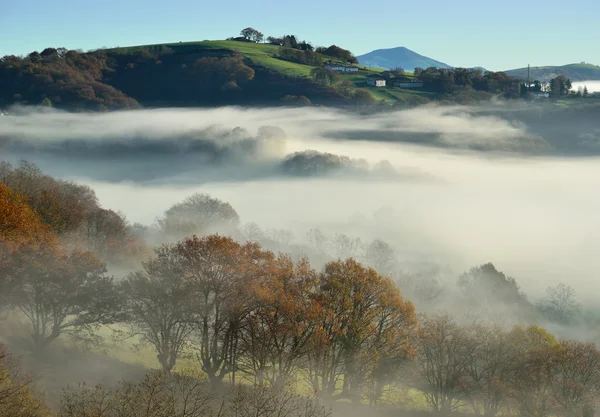 Eteklerinde n sis, Bask öder