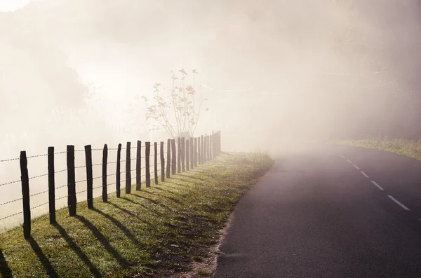 Country road in the fog — Stock Photo, Image