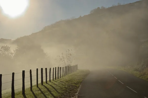 霧の中の山道 — ストック写真