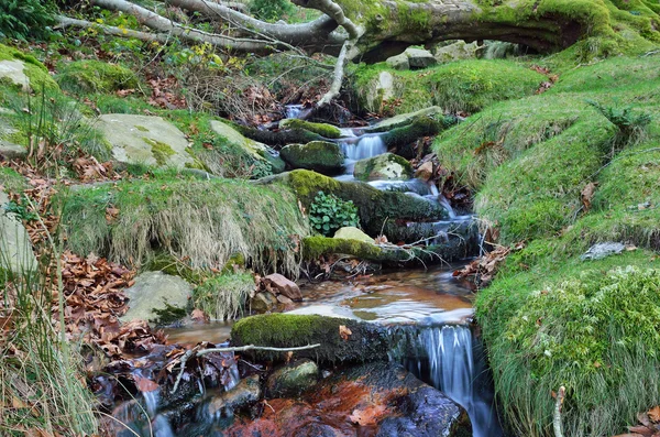 Close-up of a stream in the mountain slope — Stock Photo, Image