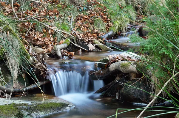 Close-up of a stream in the mountain slope — Stock Photo, Image