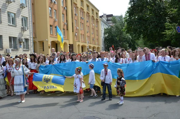 Fredfyldt parade i den ukrainske hovedstad - Stock-foto