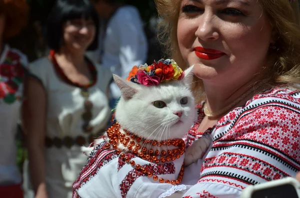 Participants of Mega march of embroideries in Kiev — Stock Photo, Image