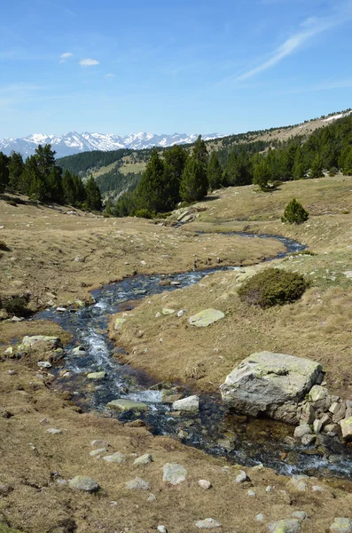 Primavera en el valle de Madriu-Perafita-Claror — Foto de Stock