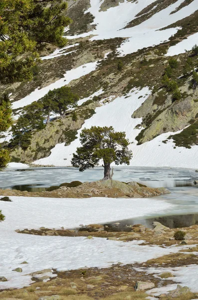 Issjö i madriu-perafita-claror dalen — Stockfoto