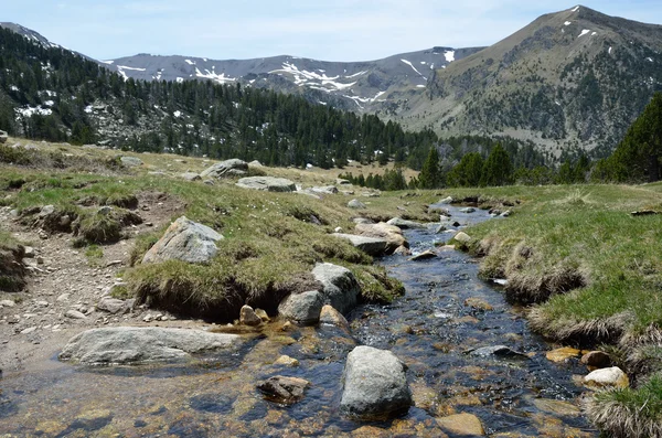 Primavera en el valle de Madriu-Perafita-Claror — Foto de Stock