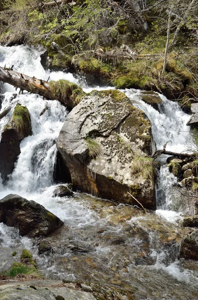 Whitewater in the spring Pyrenees — Stock Photo, Image