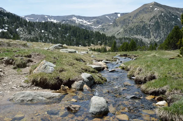 Spring in the Madriu-Perafita-Claror valley — Stock Photo, Image