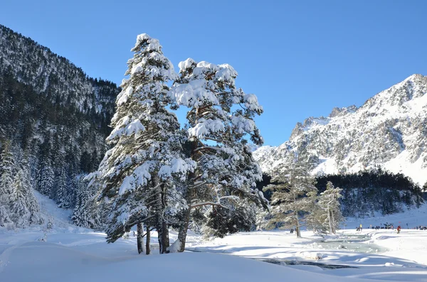 Marcadau valley in winter — Stock Photo, Image