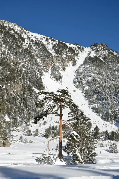 Winter vacations in the Marcadau valley — Stock Photo, Image