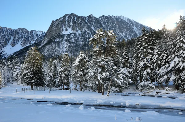 Vallée de montagne en hiver — Photo