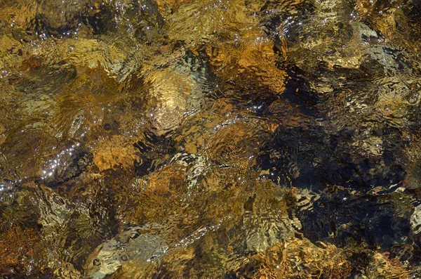 Close-up do leito do rio montanha através de água limpa que flui — Fotografia de Stock