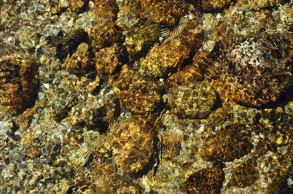 Stones under clear water flowing — Stock Photo, Image