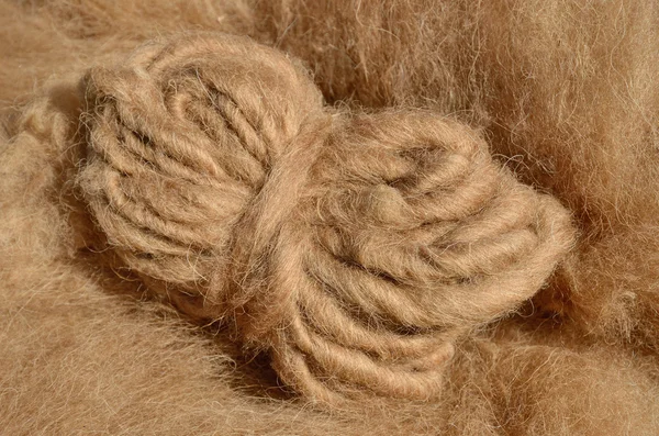 Sheep's wool — Stock Photo, Image