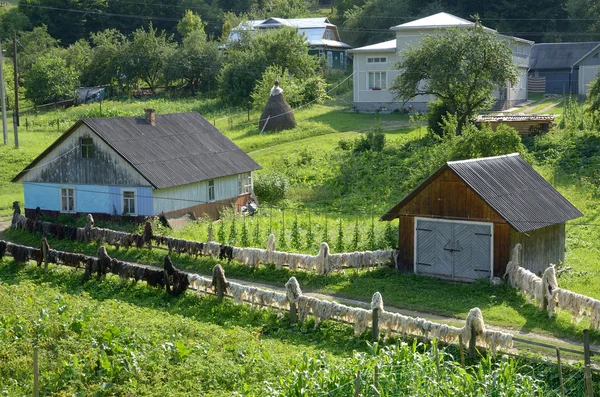 Летний вид на Карпатскую деревню — стоковое фото