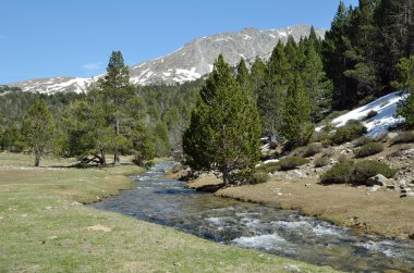 madriu-perafita-claror Vadisi'nde bahar