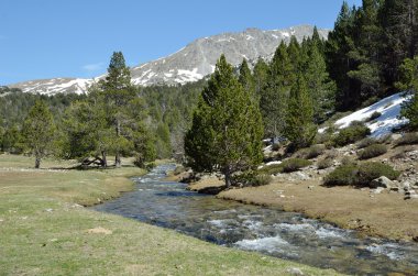 Spring in the Madriu-Perafita-Claror valley clipart