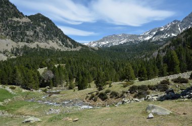 Bir buzul sel ile yayla Vadisi