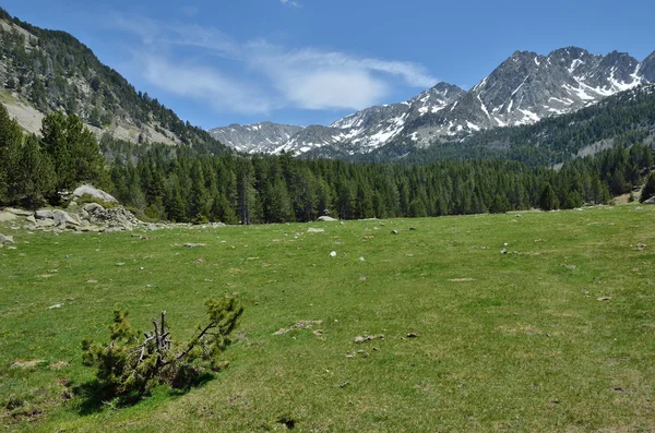 Valle alpino Vall-de-Madriu-Perafita-Claror, Pirineos —  Fotos de Stock