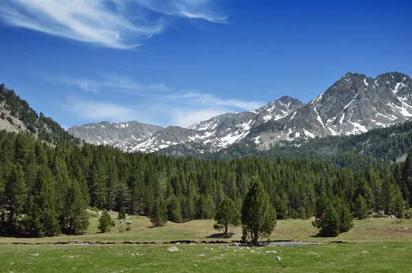 Alpine valley Vall-de-Madriu-Perafita-Clarror, Pyreneeën — Stockfoto