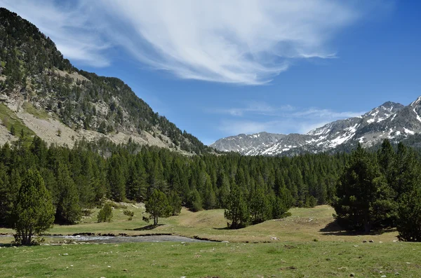 Alp Vadisi Vall-de-Madriu-Perafita-Claror, Pyrenees — Stok fotoğraf