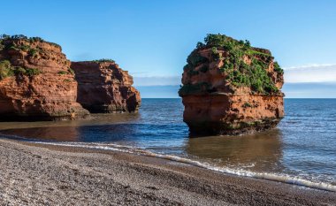 İngiltere 'de Devon' da Ladram Körfezi Kayalıkları ve Kayalıkları