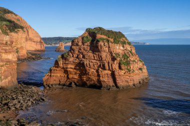 İngiltere 'de Devon' da Ladram Körfezi Kayalıkları ve Kayalıkları