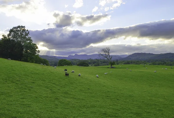 Lake District alanları — Stok fotoğraf