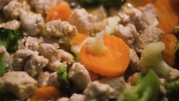 프라이팬 에 고기와 싱싱 한 야채를 넣고 끓인다. 개념. 점심으로 야채와 함께 건강에 좋은 스튜 요리를 클로즈업 합니다. 건강 한 가정 요리 — 비디오