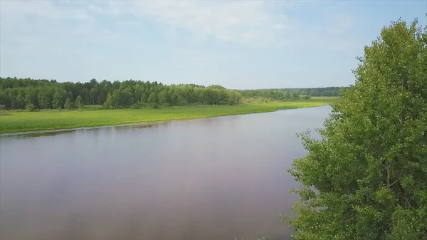 Vue aérienne d'une grande rivière des basses terres par une journée ensoleillée d'été. Clip. Paysage verdoyant de campagne avec champ boisé et prairie verte le long de la grande rivière, nature estivale. — Photo
