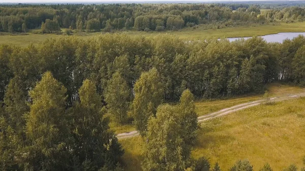Bovenaanzicht van wegen langs de rivier met bomen in de herfst. Een knip. Prachtig herfstlandschap met bos bij modderige rivier. Panorama van het bos met wegen langs de rivier — Stockfoto