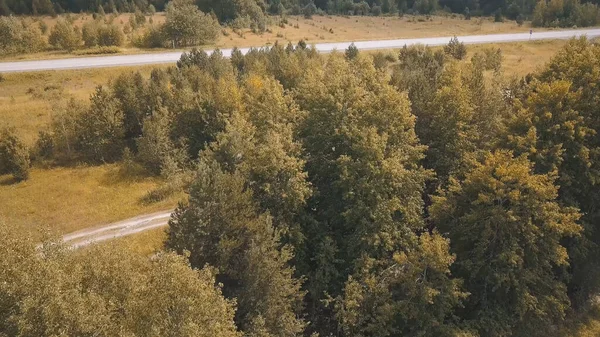 Ovanifrån av vägar som passerar genom floden med träd i höst. Klipp. Vackert höstlandskap med skog nära lerig flod. Panorama av skog med vägar vid floden — Stockfoto