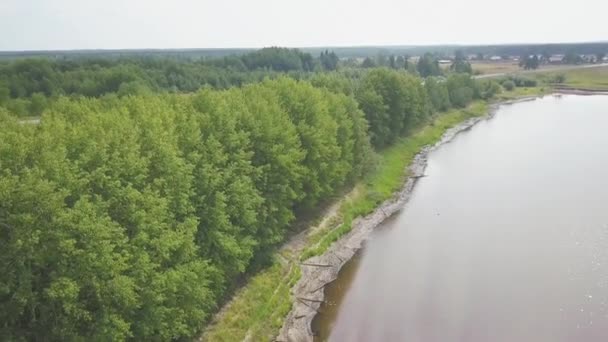 Terbang di atas tepi sungai dengan kayu yang tersebar. Jepit. Pemandangan udara dari pantai sungai yang luas dengan barisan pohon hijau yang subur dengan latar langit yang mendung. — Stok Video