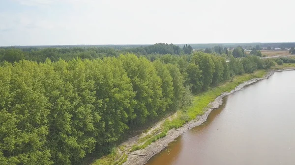Repül a folyó felett szétszórt fa rönkökkel. Csípés. Légi kilátás széles folyó partján buja sor növekvő zöld fák felhős ég háttér. — Stock Fotó