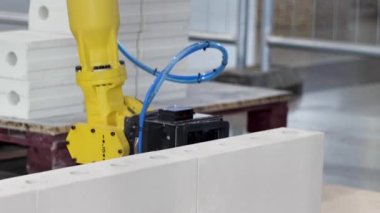 Endüstriyel robot sergisi. Medya. Otomatik inşaat için tuğla ustası robot, inşaat endüstrisinde robotik teknolojiler kavramı.