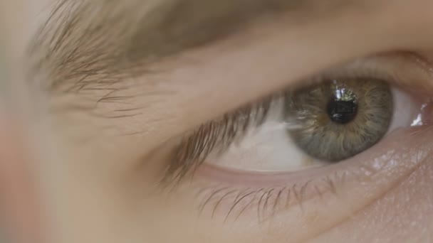 Fotografia macro de olho de homem. Acção. Close-up de olho de homem com cor cinza mista. Belos detalhes do olho humano com reflexão na pupila — Vídeo de Stock