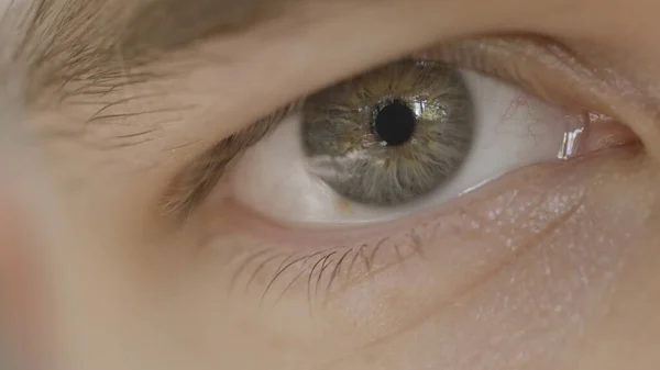 Makrofotografia oka człowieka. Akcja. Zbliżenie oczu mężczyzn o mieszanym szarym kolorze. Piękne detale ludzkiego oka z odbiciem w źrenicy — Zdjęcie stockowe
