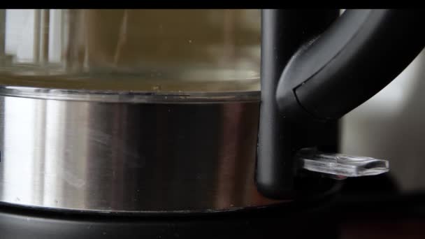 Pressing button of kettle. Media. Close-up of man turning on electric kettle with lighting. Beautiful transparent teapot with lighting. Turning on electric kettle for boiling water — Stock Video