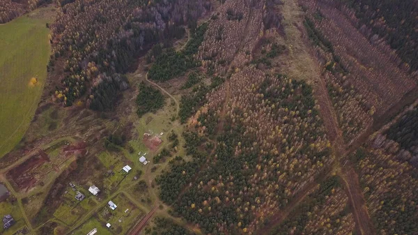 Vista aérea de las casas raras cerca del bosque mixto de otoño. Clip. Campo hermoso paisaje con árboles y edificios amarillos, concepto de agricultura. — Foto de Stock