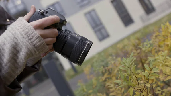 Close up de fotógrafa feminina tirando fotos de um arbusto de outono verde e amarelo. Acção. Vista lateral de uma câmera profissional nas mãos de uma mulher. — Fotografia de Stock