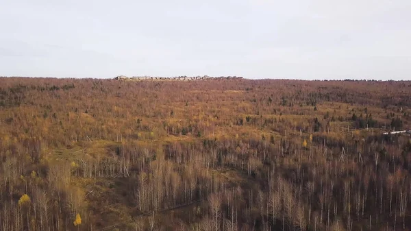 Panorama av höst bar skog med stenar. Klipp. Ovanifrån av skogsklädda höstkullar med stenar av förstörda berg. Vackra höstlandskap med träd och klippor — Stockfoto