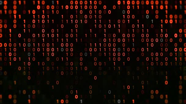 Hacker program bináris kóddal. Animáció. A vírus kimutatása a számítógépes rendszerben bináris kóddal. Sok fényes kombinációja nulla és egy. Olvasóprogramok bináris kódja — Stock videók