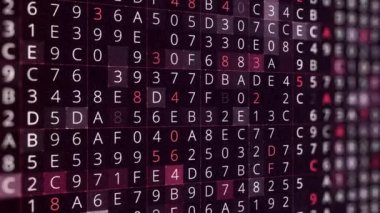 Sayılar ve harfler soyut renkli arkaplan, kusursuz döngü. Animasyon. Hacker saldırısı, şifre seçimi süreci, rastgele numaralar ve semboller.