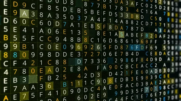 Hacker style random character code background, seamless loop. Animation. Internet security concept, colorful digits and letters changing fast in many parallel rows.